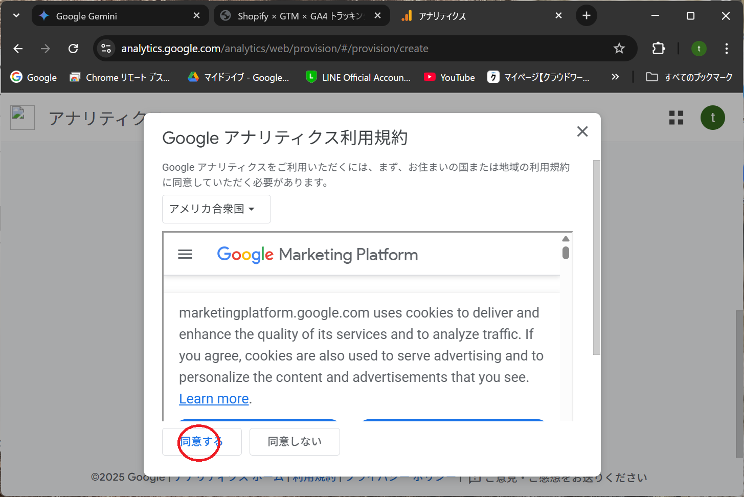 Googleアナリティクス利用規約画面
